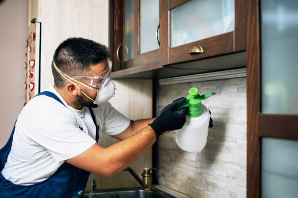 Best Cockroach Control Services  in Grantville, GA