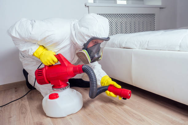 Trusted Grantville, GA Pest Control Experts