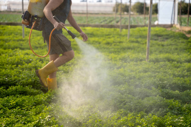 Best Mosquito Control Services  in Grantville, GA