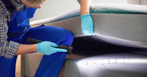 Best Local Pest Control Services  in Grantville, GA