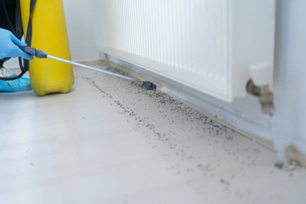  Grantville, GA Pest Control Pros