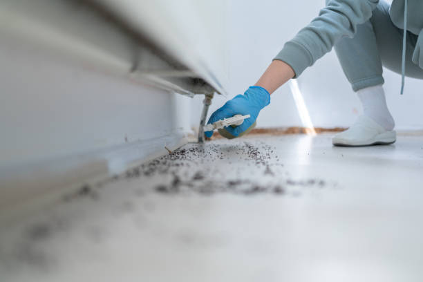 Best Insect Control  in Grantville, GA