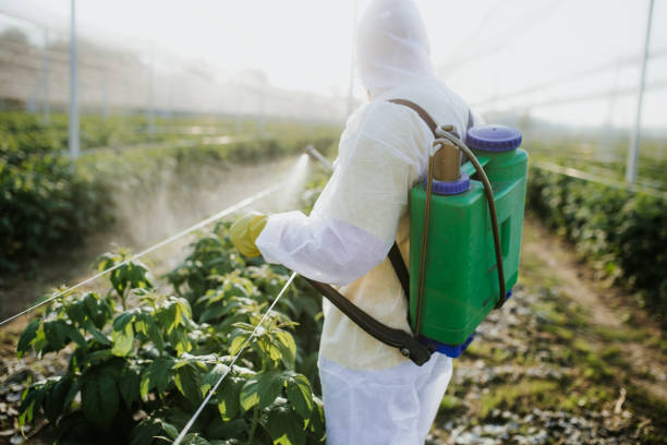 Best Pest Control for Businesses  in Grantville, GA